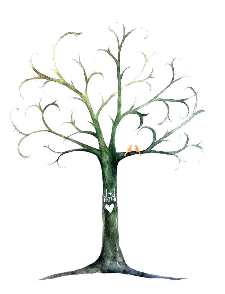 736x962 tree outline outline of a tree design for outline image of tree