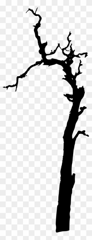 320x834 Free Png Dead Tree Clip Art Download