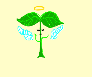 300x250 Dead Leaf Praying Mantis Wants A Stick