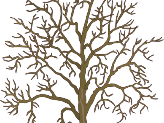 640x480 Dead Tree Clipart Hanged Man