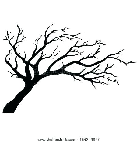 450x470 Tree Outline Drawing Outline Of A Tree Coloring Pages Simple Tree
