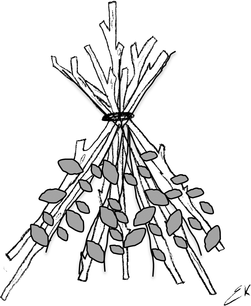 848x1032 Vegetation Structure Constructed For Enclosures Made With Dead