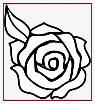 320x350 Rose Drawing Png Download Transparent Rose Drawing Png Images