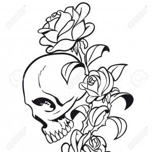 300x300 Stock Illustration Dead Skull Rose Flowers Sketch Vector Drawing