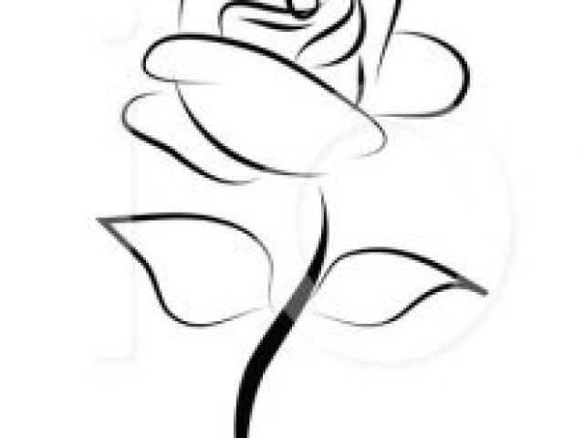 640x480 White Rose Clipart Dead