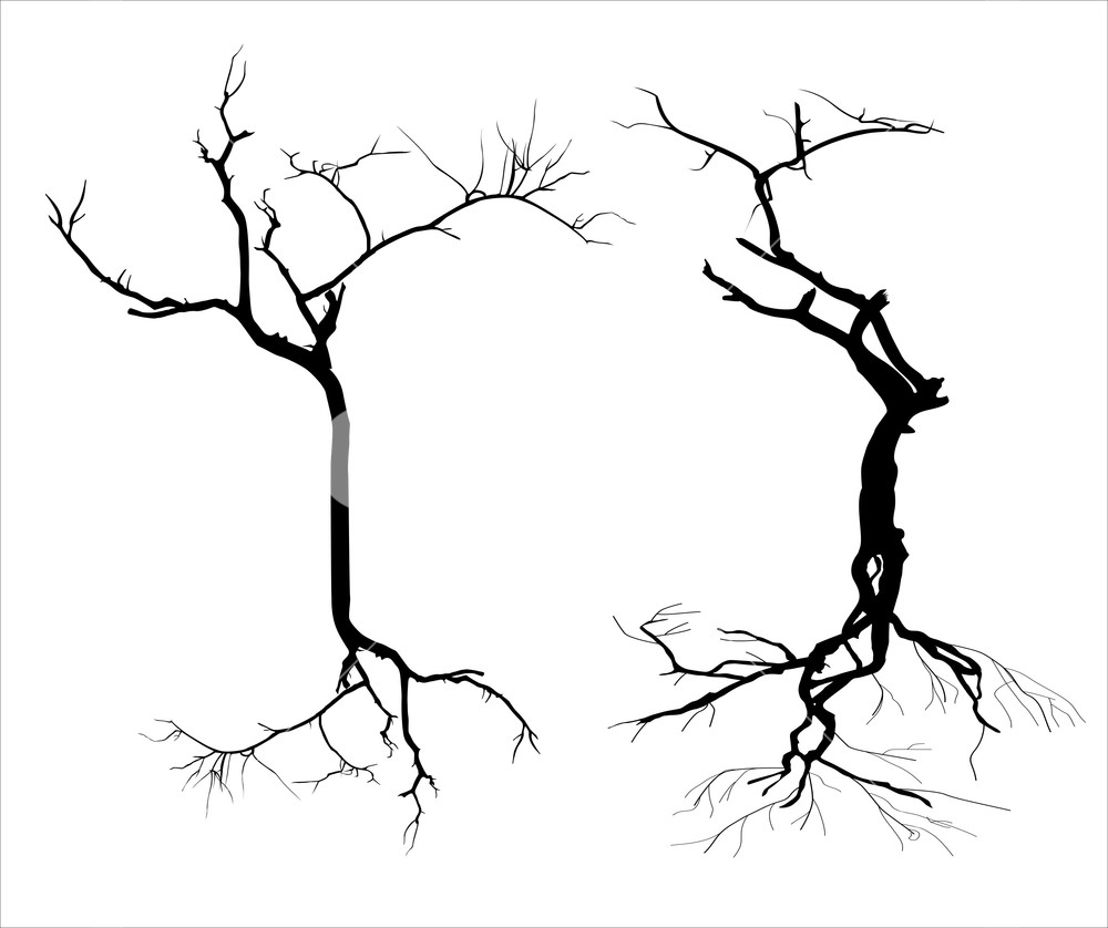 1000x838 Dead Trees Silhouette Royalty Free Stock Image