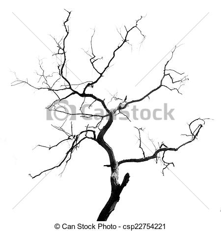 450x470 Dead Tree Illustrations And Clipart Dead Tree Royalty Free