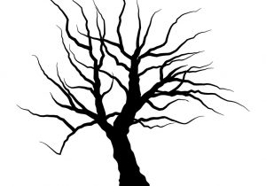 300x210 Drawing Of A Dead Tree Dead Tree Drawing Black And White