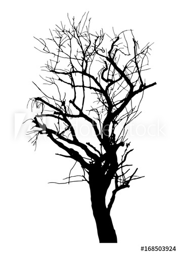 Dead Tree Drawing | Free download on ClipArtMag