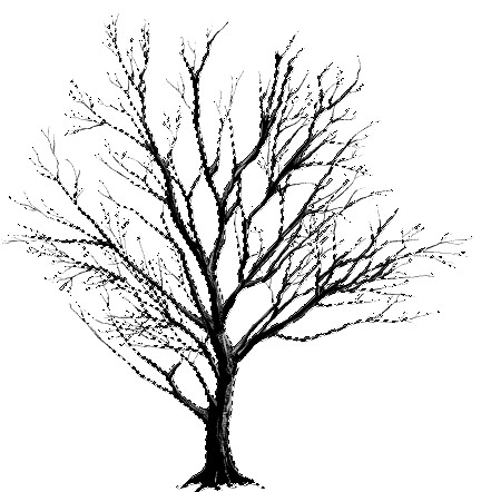 432x442 Dead Tree