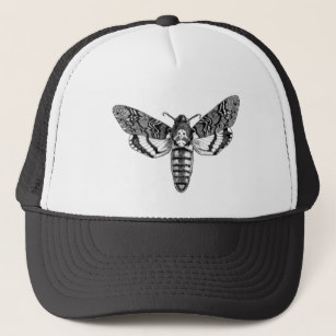 307x307 Death Head Moth Gifts On Zazzle