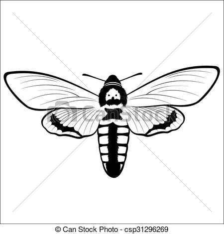 450x470 Vector Illustration