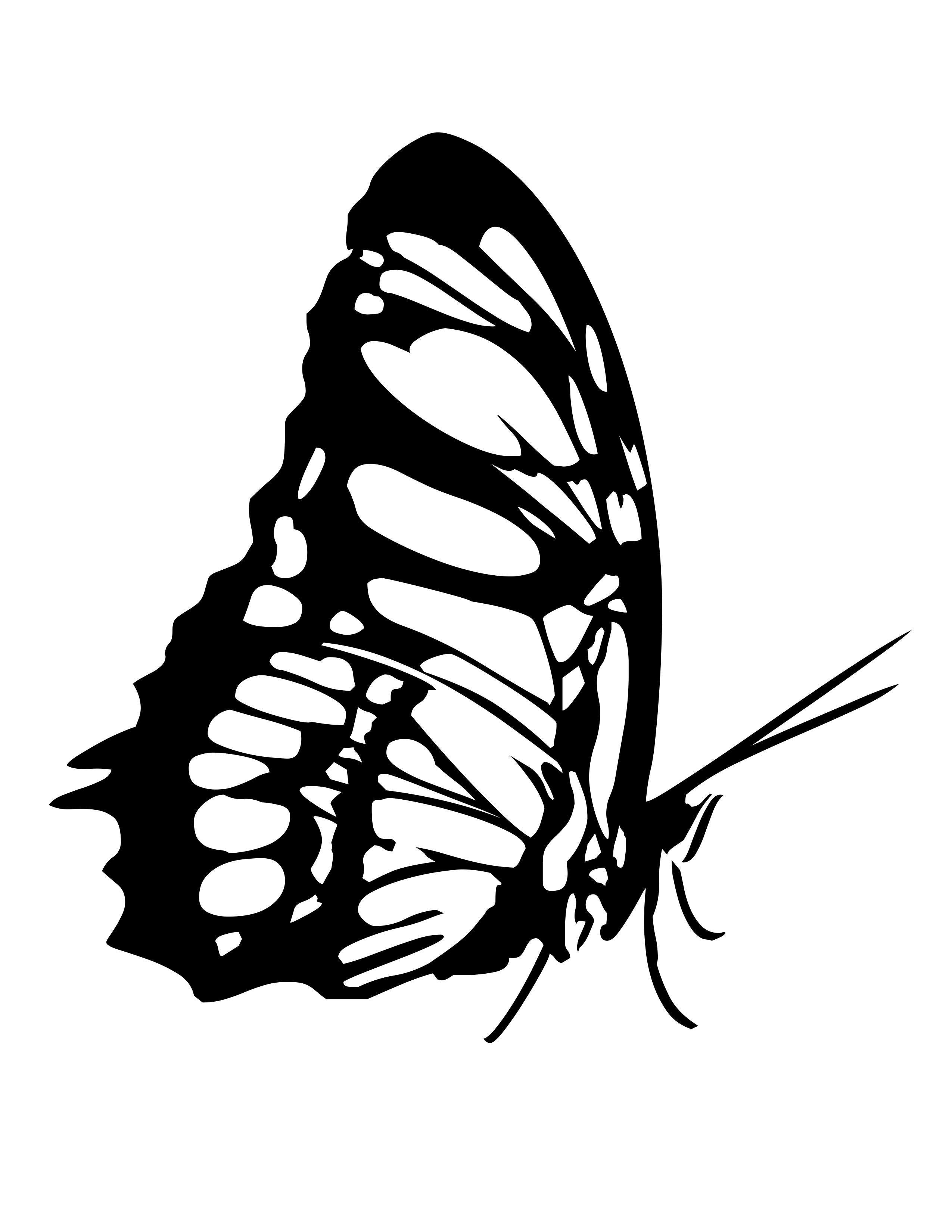 2550x3300 Moth Drawing Side For Free Download