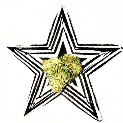 500x500 Death Star Og One Love Life Is Good