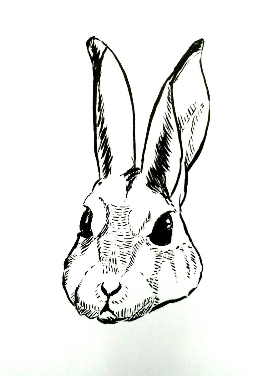 857x1200 Inkalicious Hashtag On Twitter