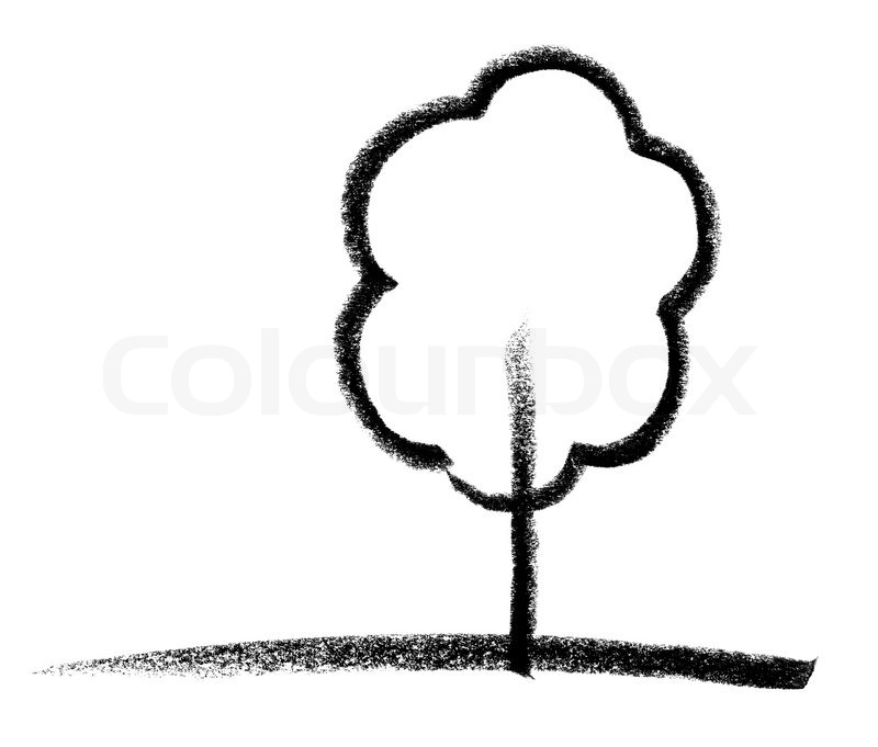800x681 deciduous tree sketch stock photo colourbox