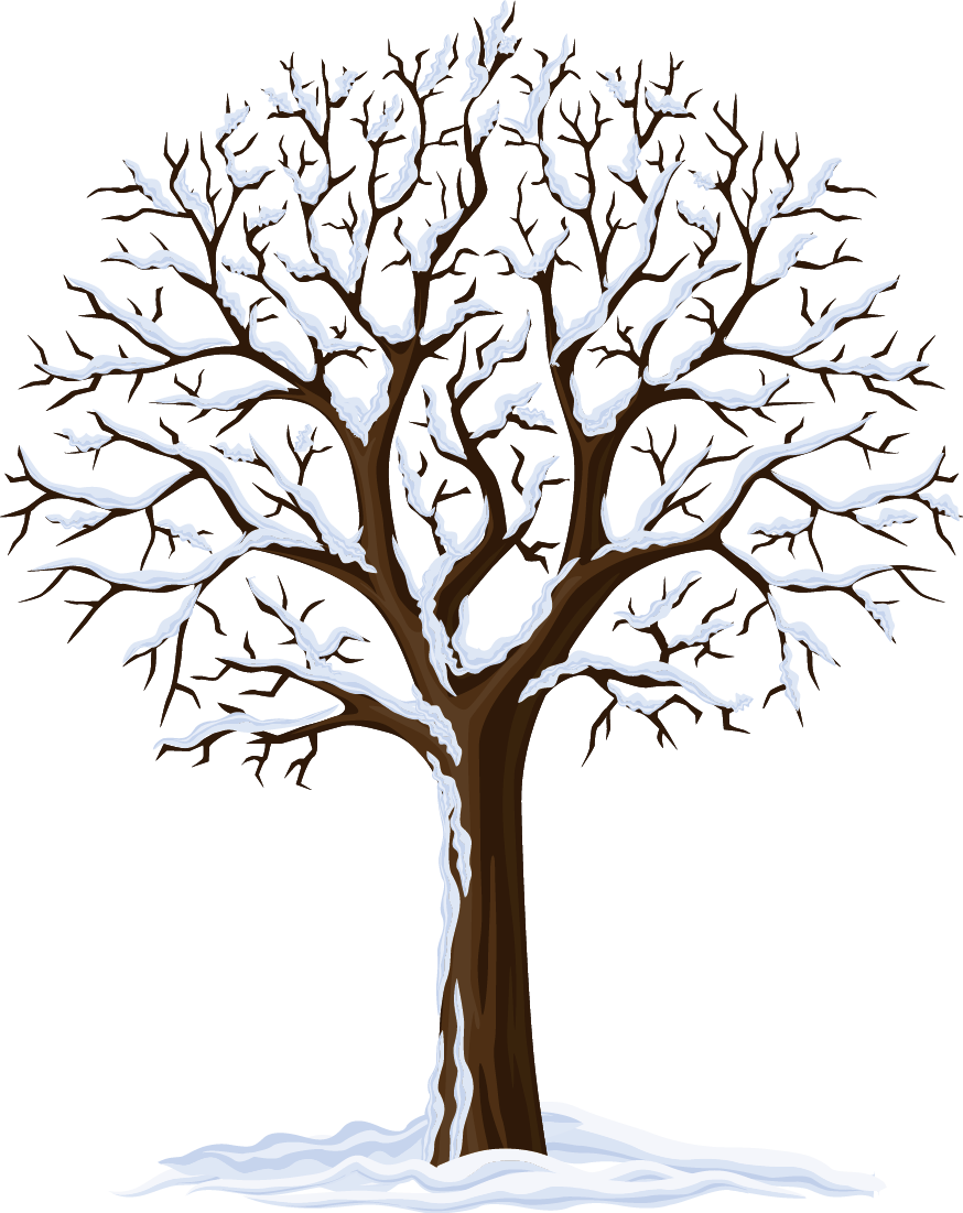874x1101 Old Drawing Apple Tree Transparent Png Clipart Free Download