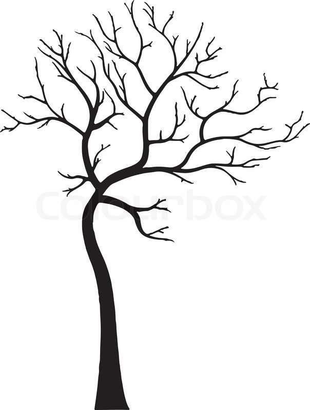 604x800 ornamental deciduous tree without stock vector colourbox