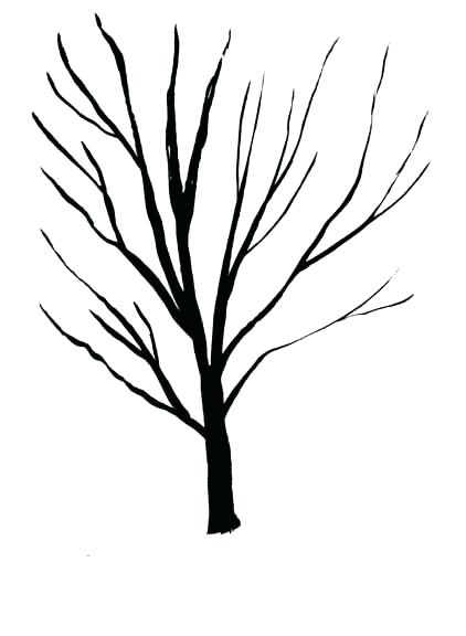 422x576 Tree In Winter Drawing Zupa