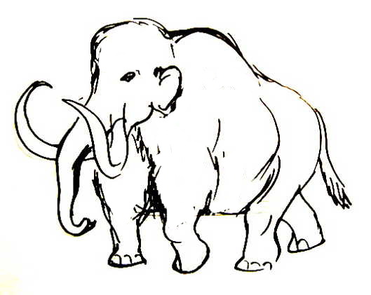 529x421 how to draw a mammoth step