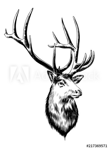 367x500 Vector Engraved Style Illustration For Posters, Decoration