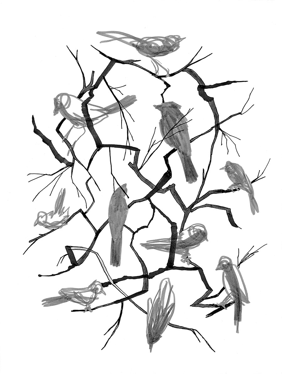 900x1200 Drawings For Wind Through Quiet Tensions Adam Grossi