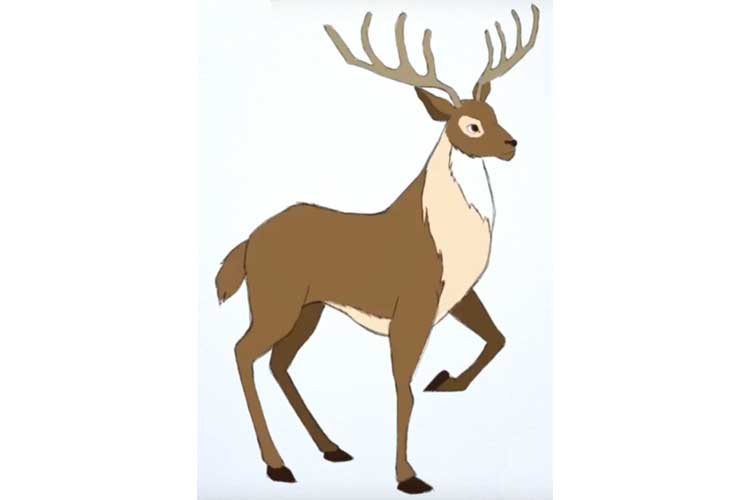 750x500 Options How To Draw A Deer With Detailed Pictures Elementary Drawing