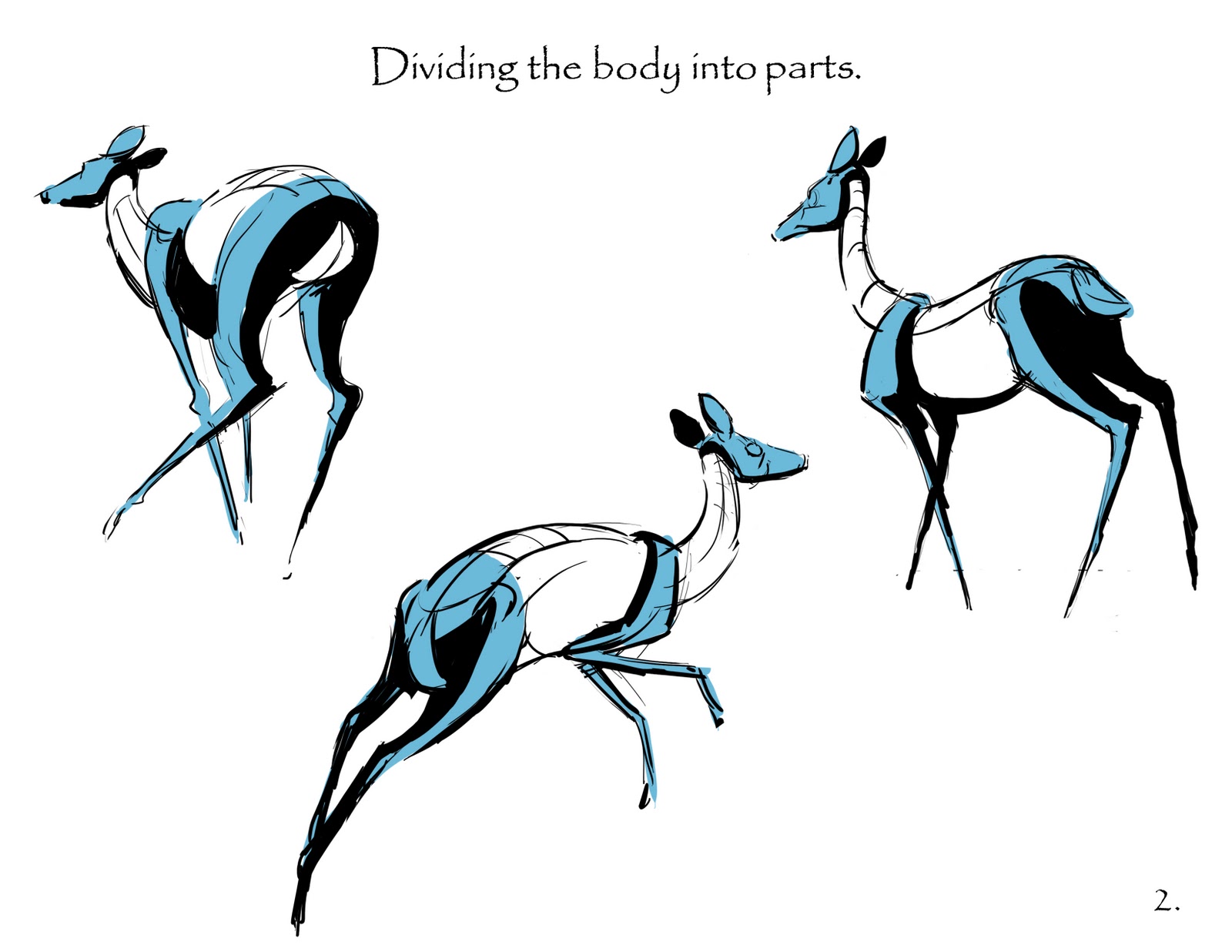 1600x1236 Animal And Life Drawing Blog First Post! Sketching Deer