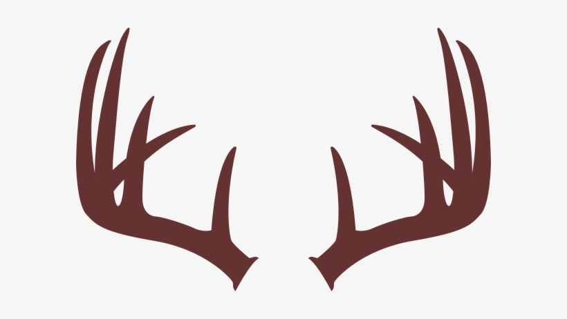 820x462 Drawing Of Deer Antlers
