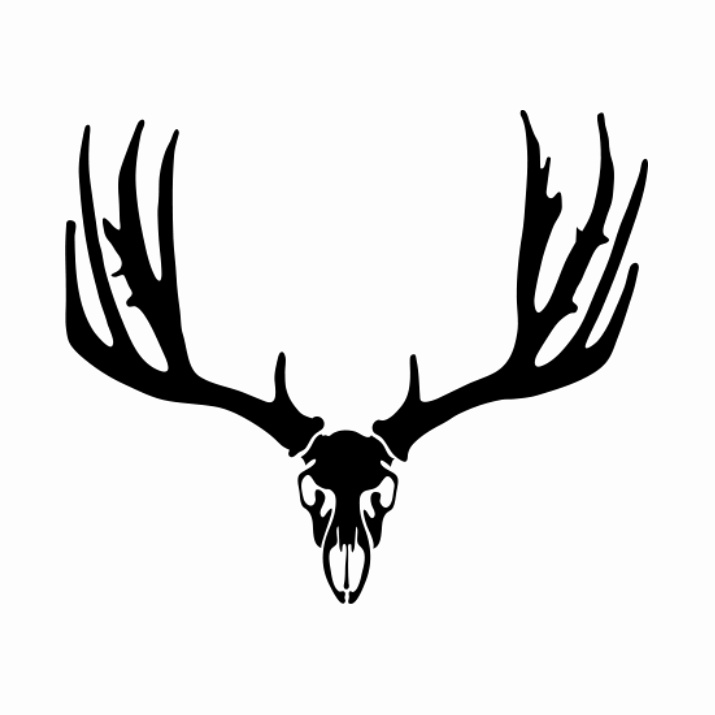 715x715 Fresh Of Whitetail Deer Antlers Clipart