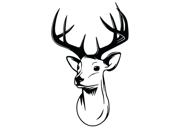 574x430 how to draw a easy deer simple deer drawing com draw a deer head
