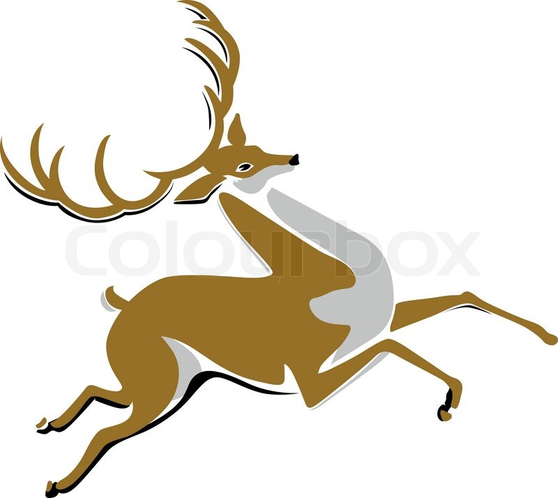 800x714 Cartoon Running Deer Vector Stock Vector Colourbox