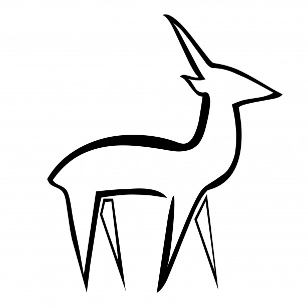 615x615 Deer Drawing Free Stock Photo