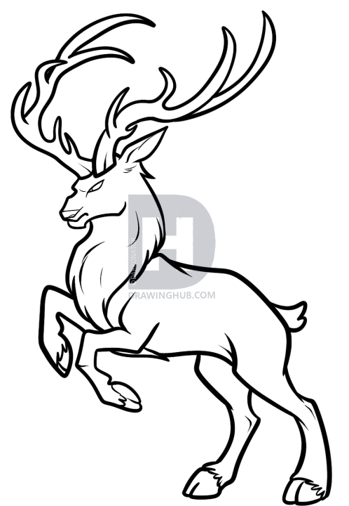 498x720 how to draw a buck, buck deer, step