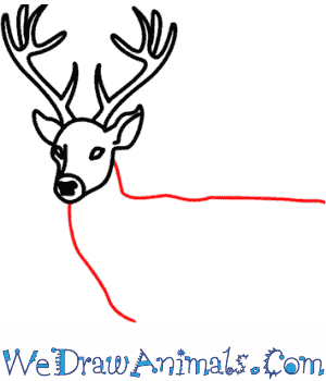 300x350 How To Draw A Deer
