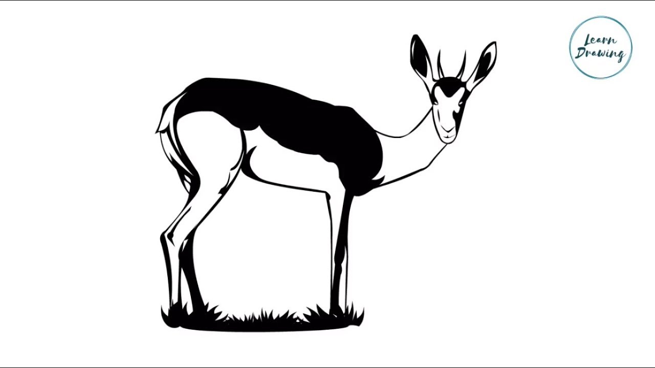 1280x720 How To Draw A Deer Step
