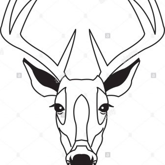 336x336 Deer Antler Drawing Easy Whitetail Big Simple Iydunetwork