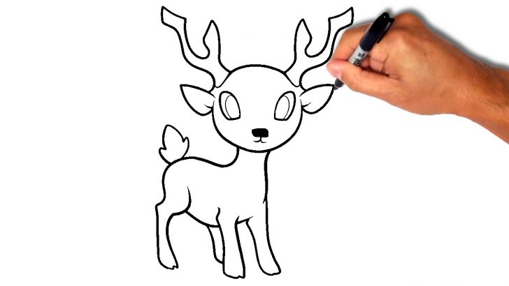 728x410 Deer Drawing Easy Step