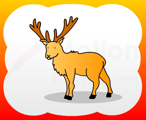 503x415 How To Draw Deer For Kids