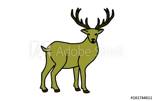 500x330 Nice Deer Hand Drawing For Kids