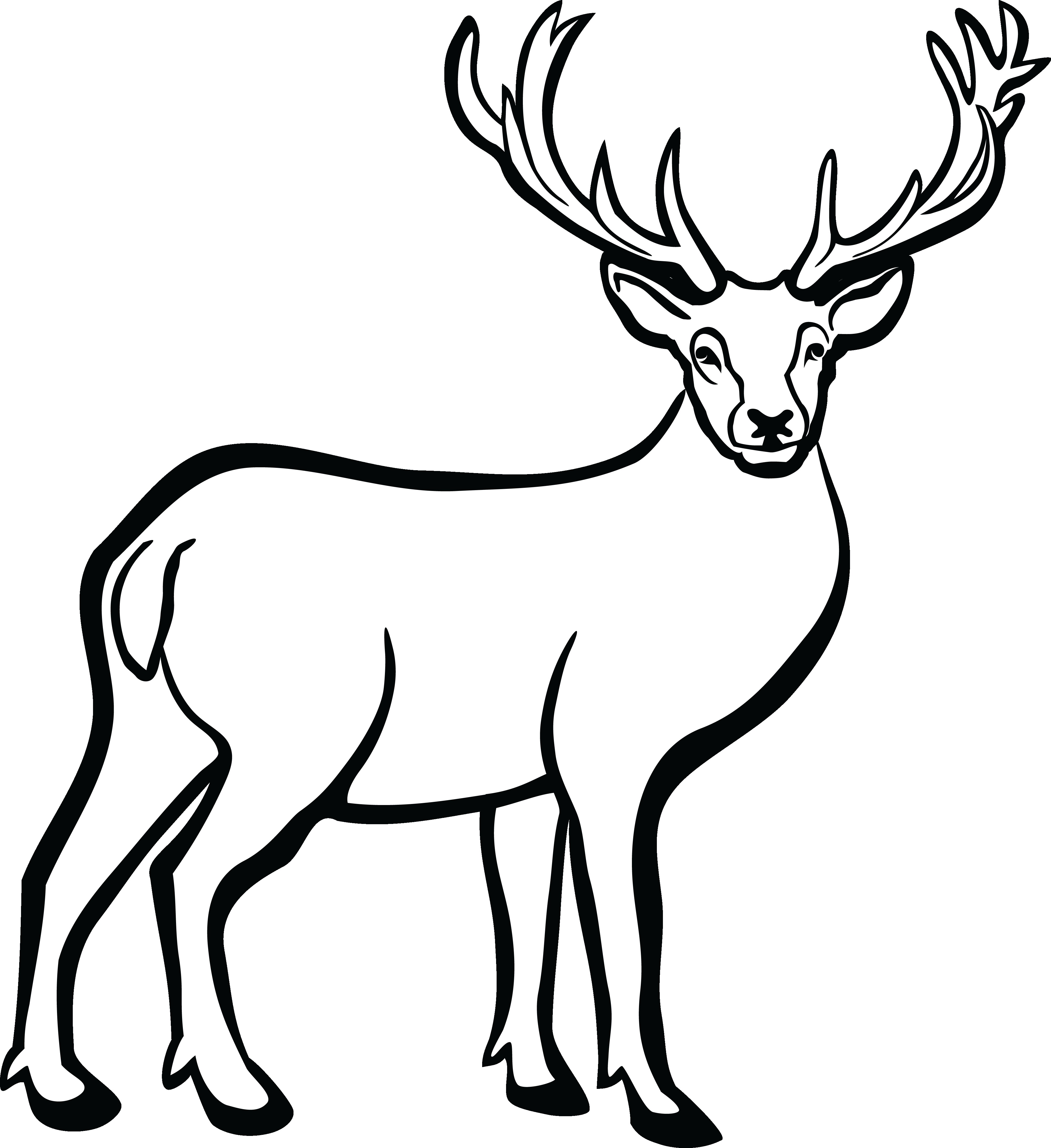 4000x4368 Deer Clip Art Free Vector In Open Office Drawing Fair Clipart