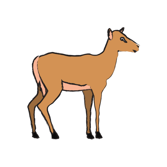 550x550 Impala Drawing Deer Transparent Png Clipart Free Download