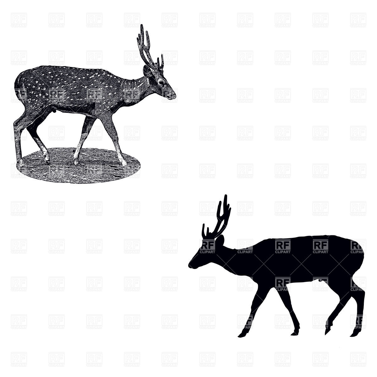 1200x1200 Silhouette Of Standing Deer And Imitation Of Ink Drawing Vector