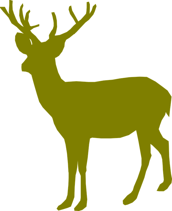 588x720 Collection Of Free Stream Drawing Whitetail Deer Download On Ui Ex