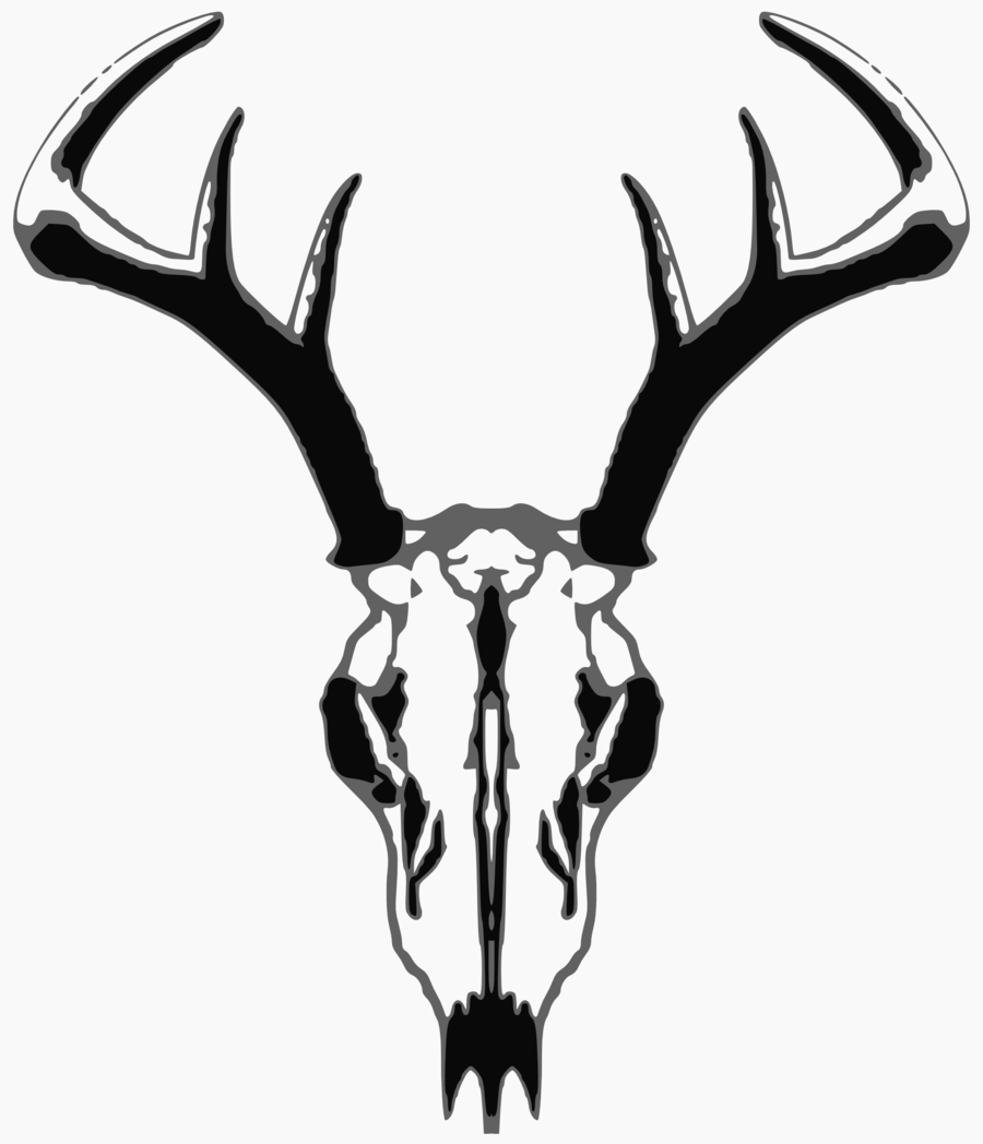 900x1048 Deer, Drawing, Skull, Transparent Png Image Clipart Free Download