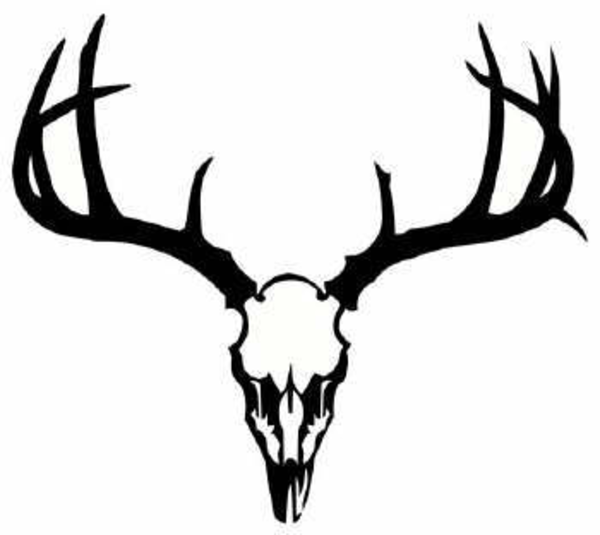 600x535 Deer Skull Drawing