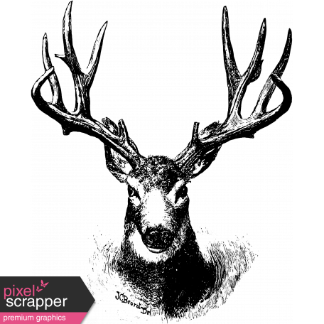 456x456 hybrid drawing deer transparent png clipart free download