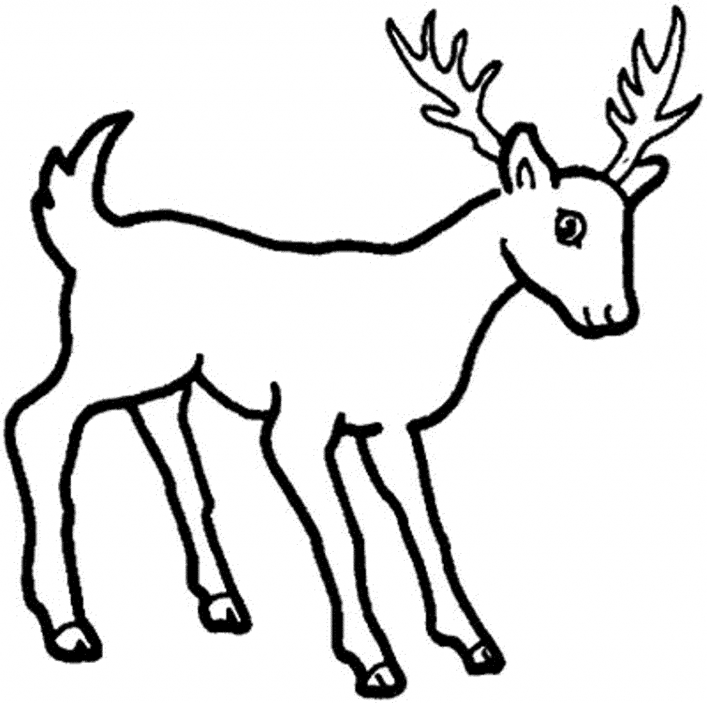 1024x1018 Collection Of 'deer Drawing Cartoon' Download More Than Images