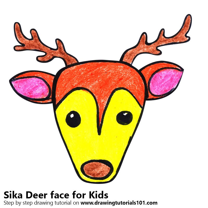 800x800 Learn How To Draw A Sika Deer Face For Kids