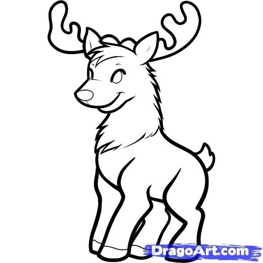 520x520 How To Draw A Reindeer For Kids Step